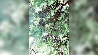 Slutboyben CAM4 Exhibitionist Addiction