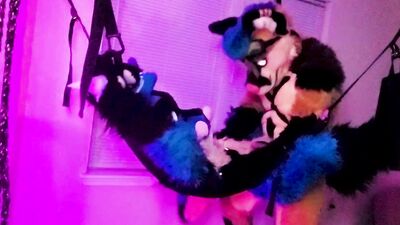 Xneo Breed Sucario's Ass Bareback in a Sex Swing