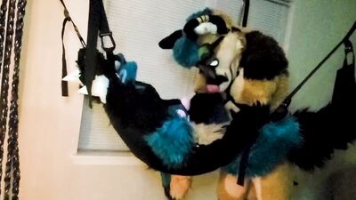 Xneo Breed Sucario's Ass Bareback in a Sex Swing