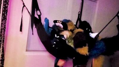 Xneo Breed Sucario's Ass Bareback in a Sex Swing