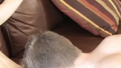 Emo twink Miles Pride cums while anal fucked by Alec Merphy
