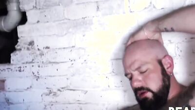 Lud sucks his bear mate's pecker and gets fucked hard