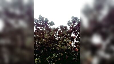 Slutboyben CAM4 Tasty Oral Jelly Fun III