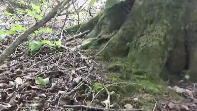 Naughty guy takes a hike naked and shows his shaved cock