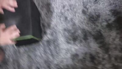 Muscular guy jerks off with a fleshlight and fucks it hard