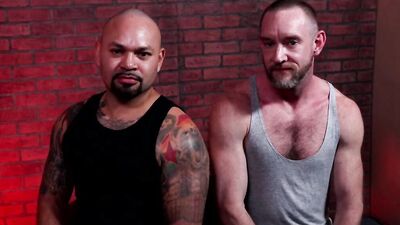 Experienced bears with hairy bodies and tattoos fuck after oral