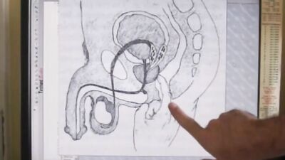Bearded stud gives anatomy lessons before using anal toys and masturbating