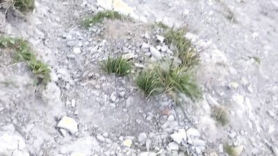 Hung dude goes outside to film himself jerking off in nature