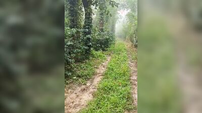 Running naked in the forest