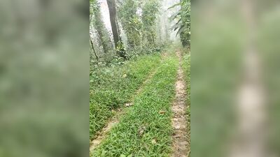 Running naked in the forest