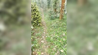 Running naked in the forest