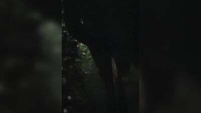 Amateur femboy is walking and filming himself out in the open