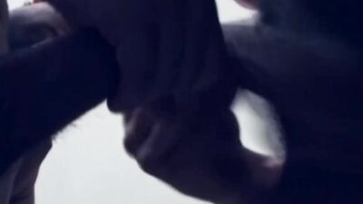 Horny twinks give each other sloppy blowjobs and fuck doggy style