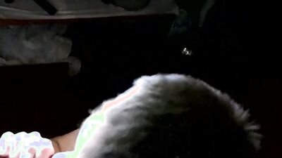Twinks Braden Klien and Benji in POV blowjob and facial cum