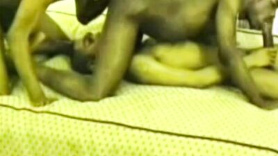 gay ebony fucked by 2 BIG COCKS of his best friends by surpr