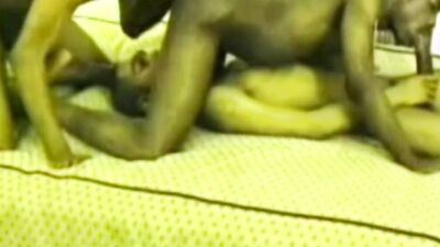 fun threesome sex at home with straight black boys big cock
