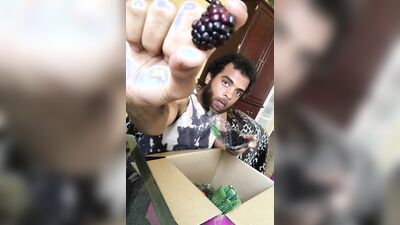 IMPERFECT FOODS with ROCK MERCURY