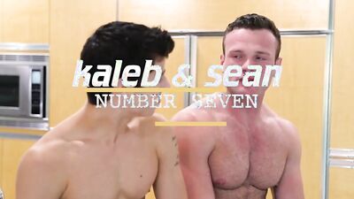 Pretty fellas are enjoying in a hot barebacking and cumshots