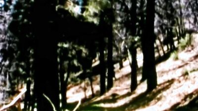 Born To Raise Hell (1973) Part 3 - Repost