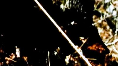 Born To Raise Hell (1973) Part 3 - Repost