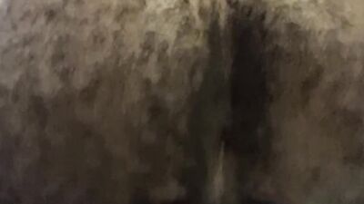 Hairy guy is pushing his hard dick in a special sex toy