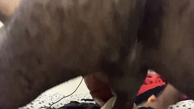 Hairy guy is pushing his hard dick in a special sex toy