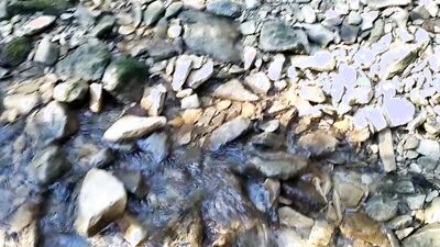 Horny lad is filing his hard pecker while jerking off by the creek