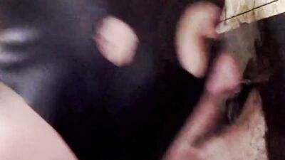 Gimp licks that hard cock and sucks it through a gloryhole