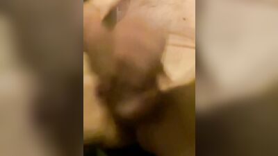 Guy is filming his dick and balls while jerking off on the camera