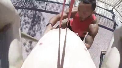 MenPov - Sucking Big Dicks POV Style Compilation