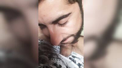 Bearded bloke is sucking mate's cock in front of the camera