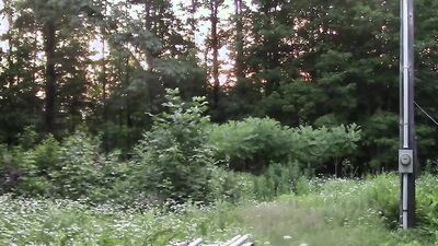 Pervertes gay fellow is jerking his prick inside the bush