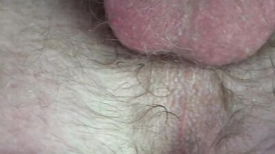 Amateur bear is flashing his pinky hole in this close-up video