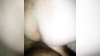 Naughty bear gets his hairy ass drilled with a pecker