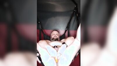 Naughty bear is stroking his hard willy inside the tent