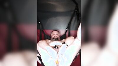 Naughty bear is stroking his hard willy inside the tent