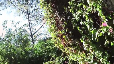 Horny African lad strokes his BBC deep inside the forest