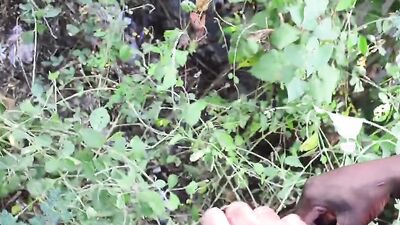 Horny African lad strokes his BBC deep inside the forest