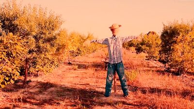 Skinny farmer is having fun in this homemade solo performance