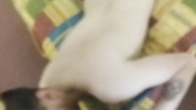 Ryan Story is sucking his boyfriend's prick in this close-up video