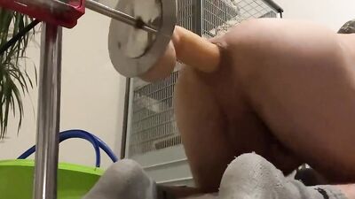 Amateur bloke bends and gets his ass destroyed with a mechanical dildo