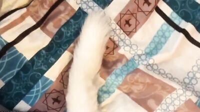 Amateur femboy is playing with his toy in front of the cam