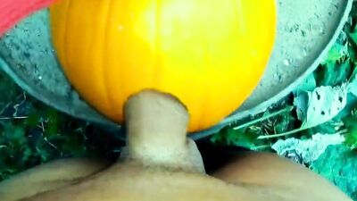 Amateur twink is shoving his hard prick into a pumpkin