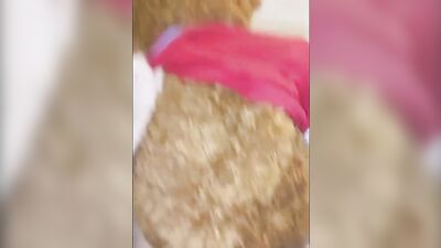 Amateur skinny chap is rubbing his dick on a Teddy Bear