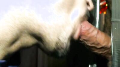 Bloke is getting a nice slimy bj in this close-up video