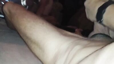 Rowan Hunter is having fun in a raw cock sucking scene