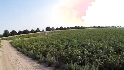 Amateur chap plays with his pecker while walking out in the open