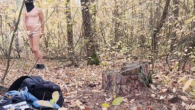 andkvcat naked in forest
