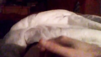 Amateur bear is jerking his willy in front of the cam
