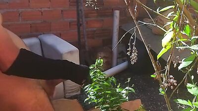 Amateur masked Latino stretches his piston out in a backyard